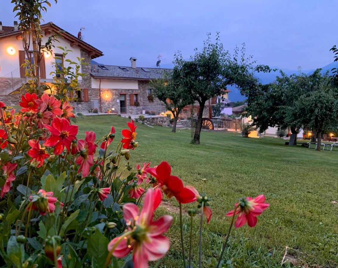 La Volta - Lake Como Heritage Home In Molino Maufet Watermill - Patio On The Garden Colico Exterior photo
