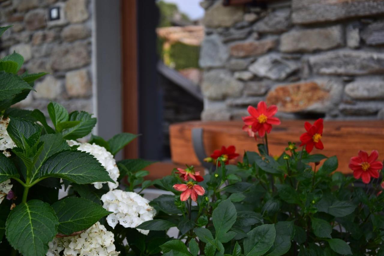 La Volta - Lake Como Heritage Home In Molino Maufet Watermill - Patio On The Garden Colico Exterior photo